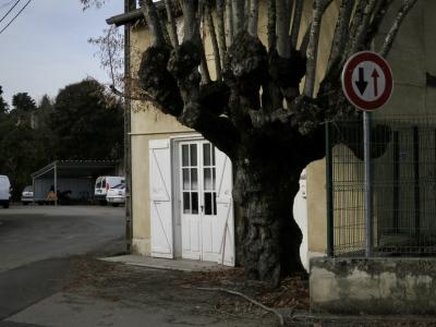photograph “XII.2024 — Whatever” par David Farreny — www.farreny.net — France, Occitanie, Gascogne, Gascony, Gers, Auch, maison, house, porte, door, volets, shutters, bois, wood, arbre, tree, branches, rue, street, panneau, sign, routier, roadsign, bitume, blacktop, asphalte, asphalt, clôture, fence, métal, metal, flèches, arrows, haut, bas, up, down, voitures, cars, fourgonnette, van, câbles, cables, fils, wires, abri, shed, poteau, post, pole, béton, concrete, gouttière, gutter, tronc, trunk, verre, vitre, glass, numéro, number, 34, dépression, depression