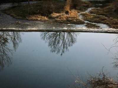 photograph “III.2012 — Spring (It\'s not anymore)” par David Farreny — www.farreny.net — France, carte postale, postcard, printemps, spring, springtime, rivière, river, retenue, reservoir, reflet, reflection, arbres, trees, branches, eau, water, rives, banks, soir, evening, Occitanie, Rouergue, Aveyron, Rodez