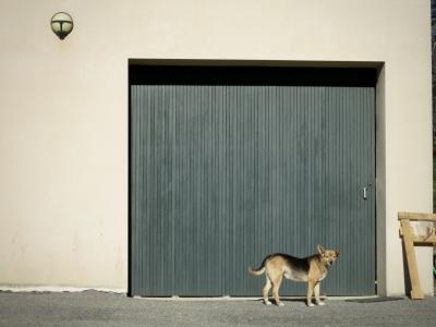 photograph “XII.2011” par David Farreny — www.farreny.net — France, maison, house, garage, portail, gate, façade, facade, chien, dog, lampe, lamp, light, tréteau, trestle, béton, concrete, bois, wood, animal, Dogcow, Clarus, Apple, Macintosh, Mac, Occitanie, Aveyron, Rouergue, Rieupeyroux