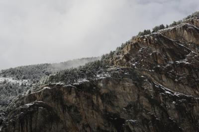 photograph “XI.2022” par David Farreny — www.farreny.net — Andorre, Andorra, Canillo, montagne, mountain, rocher, rock, paroi, wall, arbres, trees, neige, snow, ciel, sky, gris, grey, gray, nuages, clouds