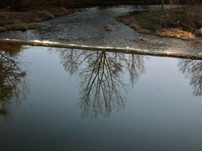 photograph “III.2012 — Pure postcardness w/ springtime” par David Farreny — www.farreny.net — France, carte postale, postcard, printemps, spring, springtime, rivière, river, retenue, reservoir, reflet, reflection, arbres, trees, coude, courbe, bend, eau, water, rives, banks, soir, evening, Occitanie, Aveyron, Rouergue, Rodez, Olemps