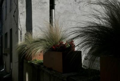 photograph “IX.2024 — Whatever” par David Farreny — www.farreny.net — France, Occitanie, Tarn-et-Garonne, Septfonds, rue, street, maison, house, mur, wall, ciment, cement, angle, coin, corner, porte, door, fenêtres, windows, volets, shutters, bois, wood, boîte à lettres, mailbox, câbles, cables, fils, wires, gouttière, drainpipe, métal, metal, gris, grey, gray, jardinières, planters, plantes, plants, fleurs, flowers, rouge, red, ombre, shadow, muret, low wall