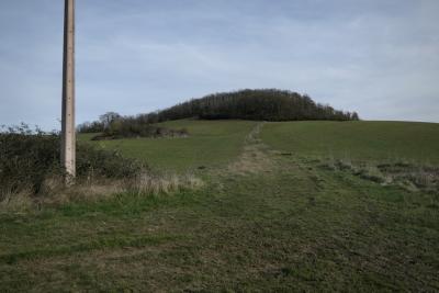 photograph “II.2019 — Off-season” par David Farreny — www.farreny.net — France, Occitanie, Gascogne, Gascony, Gers, Jegun, campagne, countryside, hiver, winter, paysage, landscape, herbe, grass, champs, fields, colline, hill, bois, wood, arbres, trees, poteau, pole, post, ciment, cement, ciel, sky, morte-saison, off-season