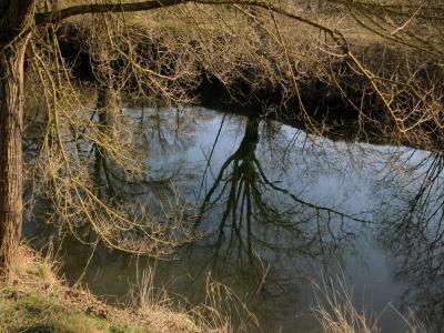 photograph “III.2012 — Past springtime” par David Farreny — www.farreny.net — France, carte postale, postcard, printemps, spring, springtime, rivière, river, reflet, reflection, arbres, trees, tronc, trunk, eau, water, rives, banks, soir, evening, herbe, grass, branches, profusion, Occitanie, Aveyron, Rouergue, Olemps, Rodez