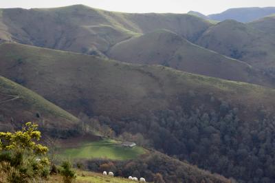 photograph “XII.2020” par David Farreny — www.farreny.net — France, Aquitaine, Pyrénées-Atlantiques, Espelette, Ainhoa, montagnes, mountains, paysage, landscape, Pays basque, maison, house, moutons, sheep, arbres, trees, carte postale, postcard