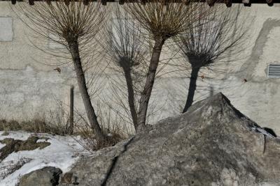 photograph “I.2023 — Fire in Cairo” par David Farreny — www.farreny.net — Andorre, Andorra, Canillo, mur, wall, béton, concrete, arbres, trees, troncs, trunks, branches, ombres, shadows, neige, snow, pile, tas, sale, dirty, hiver, winter, ciment, cement, Fire in Cairo, The Cure, Boys don't cry, 1980
