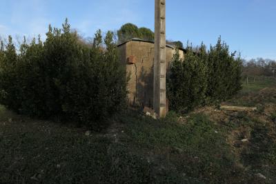 photograph “III.2018 — Whatever” par David Farreny — www.farreny.net — France, Occitanie, Gascogne, Gascony, Gers, Jegun, baraque, abri, shed, ciment, cement, post, pole, poteau, électrique, electricity, arbustes, shrubs, herbe, grass, hiver, winter, fissure, crack, feuillage, foliage, champ, field, ciel, sky, campagne, countryside