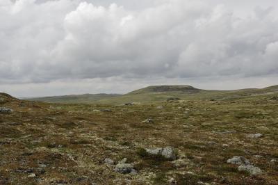 photograph “VIII.2014 — Run away to the North, 90” par David Farreny — www.farreny.net — Norvège, Norway, Norge, Hardangervidda, Buskerud, Hordaland, Fagerheim, Halne, plateau, paysage, landscape, rochers, rocks, pierre, stone, collines, hills, montagne, mountain, herbe, grass, nature, nuages, clouds, ciel, sky, vide, empty, emptiness