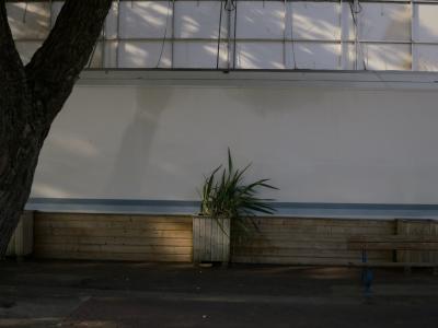 photograph “VII.2015” par David Farreny — www.farreny.net — France, Poitou-Charentes, Charente-Maritime, Royan, arbre, tree, rue, street, paroi, wall, plante, plant, été, summer, lumière, light, bois, wood, câbles, cables, banc, bench, bitume, blacktop, asphalt, asphalte