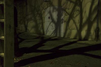 photograph “X.2015 — At night” par David Farreny — www.farreny.net — France, Occitanie, Gascogne, Gascony, Gers, Jegun, village, nuit, night, soir, evening, rue, street, maison, house, portail, gate, garage, bitume, blacktop, asphalte, asphalt, poteau, pole, post, ciment, cement, pierre, stone, ombre, shadow, arbres, trees, troncs, trunks, branches, métal, metal, panneau, sign, mur, wall
