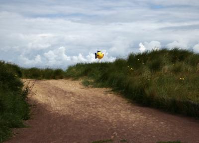 photograph “VII.2008” par David Farreny — www.farreny.net — France, Normandie, Normandy, Calvados, Ouistreham, plage, beach, sable, sand, herbe, grass, poisson, fish, plastique, plastic, ciel, sky, nuages, clouds, fleurs, flowers, chemin, path, jaune, yellow