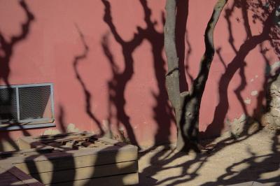 photograph “III.2023” par David Farreny — www.farreny.net — Espagne, España, Espanya, Spain, Catalogne, Cataluña, Catalunya, Lleida, Lérida, Alt Urgell, La Seu d'Urgell, ville, city, mur, wall, ombre, shadow, arbre, tree, tronc, trunk, branches, rouge, red, grille, métal, metal, banc, bench, bois, wood, sol, soil, earth, muret, low wall, pierre, stone, profusion