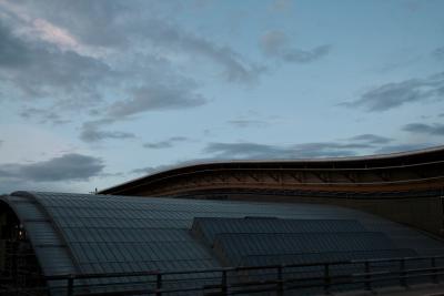 photograph “VII.2012 — Run away to the North, 41” par David Farreny — www.farreny.net — Norvège, Norway, Norge, Akershus, Gardermoen, aéroport, airport, soir, evening, ciel, sky, nuages, clouds, métal, metal, nuit, night, toit, roof, toiture, roofing, courbe, bend, aérogare, air terminal, barrière, barrier, bois, wood