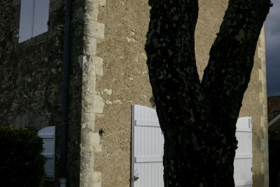 photograph “X.2015 — Faces of home, 249” par David Farreny — www.farreny.net — France, Occitanie, Gascogne, Gascony, Gers, Jegun, maison, house, pierre, stone, crépi, roughcast, murs, walls, angle, coin, corner, fenêtres, windows, portail, gate, volets, shutters, bois, wood, arbre, tree, tronc, trunk, haie, hedge, gouttière, drainpipe, métal, metal, toit, roof