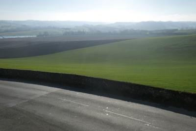 photograph “I.2019 — The deer” par David Farreny — www.farreny.net — France, paysage, landscape, campagne, countryside, route, road, bitume, blacktop, asphalte, asphalt, muret, low wall, champ, field, chevreuils, roe deers, animaux, animals, collines, hills, horizon, Occitanie, Gascogne, Gers, Jegun