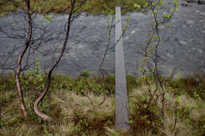 photograph “VI.2019 — Run away to the North, 155. A shallow creek” par David Farreny — www.farreny.net — Norvège, Norway, Norge, Norvège de l'Ouest, Vestlandet, Sogn og Fjordane, Sogn, Luster, Veitastrond, ruisseau, creek, eau, water, planche, plank, pont, bridge, passerelle, footbridge, courant, stream, glacier, arbustes, shrubs, arbres, trees, bois, wood, herbe, grass, marche, walk, nature, feuilles, leaves, rochers, rocks, Mallarmé