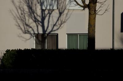 photograph “II.2014 — Faces of home, 142” par David Farreny — www.farreny.net — France, Occitanie, Aveyron, Rouergue, Olemps, bâtiment, immeuble, building, béton, concrete, hiver, winter, fenêtres, windows, haie, hedge, arbre, tree, ombre, shadow, tronc, trunk, branches, rideaux, curtains, gouttière, drainpipe, volets, shutters, plastique, plastic, grillage, fencing, mur, wall, domicile, home