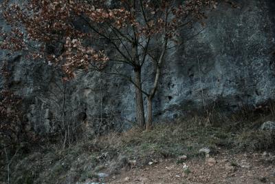 photograph “II.2011 — Au soir” par David Farreny — www.farreny.net — France, soir, evening, arbre, tree, rocher, rock, falaise, cliff, cailloux, stones, herbe, grass, Occitanie, Aveyron, Rouergue, Gages, Gages-le-Pont, Gages-Montrozier