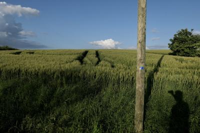 photograph “V.2018” par David Farreny — www.farreny.net — France, Occitanie, Gascogne, Gascony, Gers, Jegun, champ, field, blé, wheat, nuages, clouds, ciel, sky, arbre, tree, poteau, post, pole, bois, wood, paysage, landscape, ombre, shadow, photographe, photographer, horizon