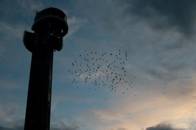 photograph “VII.2012” par David Farreny — www.farreny.net — Norvège, Norway, Norge, Akershus, Gardermoen, aéroport, airport, tour de contrôle, control tower, béton, concrete, soir, evening, ciel, sky, nuages, clouds, oiseaux, birds, nuée, cloud, surveillance, espionnage, espionage