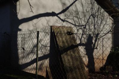 photograph “II.2015” par David Farreny — www.farreny.net — France, Occitanie, Aveyron, Rouergue, Olemps, hiver, winter, mur, wall, ciment, cement, tôle ondulée, corrugated iron, métal, metal, ombres, shadows, branches, branchages, arbres, trees, clôture, fence, grillage, fencing, dépression, depression
