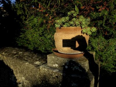 photograph “X.2016” par David Farreny — www.farreny.net — France, Occitanie, Gascogne, Gers, Jegun, jardin, garden, pot, mur, wall, pierre, feuillage, foliage, plantes, plants, ombre, shadow, main, hand, appareil photo, camera, selfie