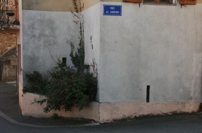 photograph “III.2014 — Confined to green” par David Farreny — www.farreny.net — France, Occitanie, Aveyron, Rouergue, Rignac, village, rue, street, rue des Jardins, Gardens street, mur, wall, paroi, ciment, cement, jardinière, planter, végétation, vegetation, bitume, blacktop, asphalte, asphalt, plaque, plate, métal, metal, fenêtre, window, volets, shutters, bois, wood, balcon, balcony, boîte à lettres, mailbox, coin, corner, angle, pierre, stone