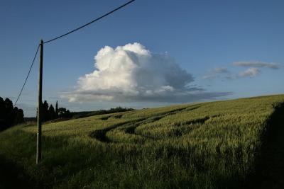 photograph “V.2018” par David Farreny — www.farreny.net — France, Occitanie, Gascogne, Gascony, Gers, Jegun, champ, field, blé, wheat, vert, green, poteau, électrique, electricity, post, pole, câble, cable, fil, wire, nuage, cloud, orage, storm, ciel, sky, arbres, trees, carte postale, postcard