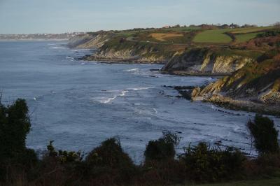 photograph “XII.2020” par David Farreny — www.farreny.net — France, Aquitaine, Pyrénées-Atlantiques, Hendaye, Pays basque, Basque country, paysage, landscape, marin, seascape, mer, sea, océan, ocean, Atlantique, Atlantic, eau, water, rivage, shore, falaises, cliffs, rochers, rocks, nature, presqu'île, peninsula, hiver, winter, maisons, houses, vagues, waves, route, road, arbres, trees, côte, coast, carte postale, postcard
