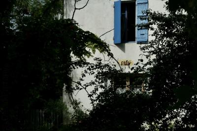 photograph “V.2025” par David Farreny — www.farreny.net — France, Occitanie, Gascogne, Gascony, Lomagne, Gers, Cadeilhan, village, maison, house, café, fermé, closed down, enseigne, sign, fenêtres, windows, volets, shutters, bois, wood, branches, branchages, feuilles, leaves, feuillage, foliage
