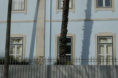 photograph “II.2020” par David Farreny — www.farreny.net — Portugal, Lisbonne, Lisboa, Lisbon, immeuble, bâtiment, building, maison, house, façade, facade, fenêtres, windows, pierre, stone, bleu, blue, poteau, post, pole, arbre, tree, palmier, palm tree, ombre, shadow, gouttière, drainpipe, métal, metal, verre, glass, vitre, clôture, fence