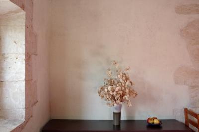 photograph “VIII.2015 — Elements for waiting” par David Farreny — www.farreny.net — France, pièce, room, pierre, stone, enduit, coating, monnaie du pape, honesty, plante, plant, vase, assiette, plate, pommes, apples, chaise, chair, surface, bois, wood, mur, wall, maison, house, coin, corner, angle, fenêtre, window, appui, ledge, linteau, lintel, jambage, jamb, pierre de taille, freestone, attente, wait, waiting, Occitanie, Gascogne, Jegun, Gers