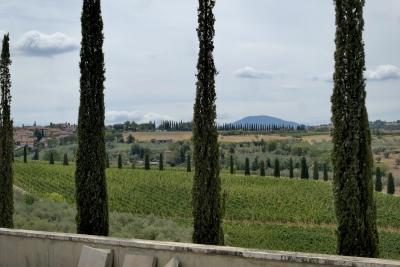 photograph “VIII.2022” par David Farreny — www.farreny.net — Italie, Italia, Italy, Toscane, Toscana, Tuscany, Sienne, Siena, San Quirico d'Orcia, cimetière, cemetery, vue, view, paysage, landscape, cyprès, cypresses, arbres, trees, champs, fields, ville, city, bourgade, town, maisons, houses, colline, hill, nuages, clouds, muret, low wall, carte postale, postcard