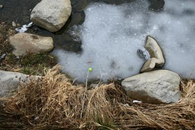 photograph “I.2024” par David Farreny — www.farreny.net — Andorre, Andorra, Canillo, rivière, river, Valira, Valira d'Orient, hiver, winter, eau, water, glace, ice, rive, shore, herbe, grass, rochers, rocks, bille, verte, green, ball