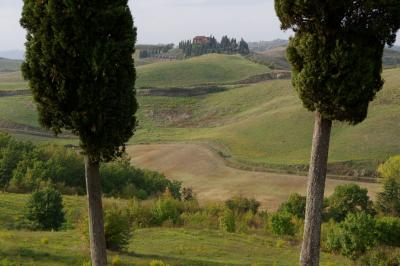 photograph “X.2019 — Stop coming to my house (2)” par David Farreny — www.farreny.net — Italie, Italia, Italy, Toscane, Toscana, Tuscany, Florence, Firenze, Certaldo, paysage, landscape, arbres, trees, cyprès, cypress, cypresses, collines, hills, maison, house, herbe, grass, automne, autumn, fall, carte postale, postcard, Mogwai, parco collinare, parc collinaire, Canonica