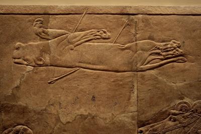 photograph “X.2010 — Lion hunting, 3” par David Farreny — www.farreny.net — Royaume-Uni, United Kingdom, Angleterre, England, GB, UK, British Museum, Londres, London, Assyrie, Assyria, VIIe siècle av. J.-C., 7th century BC, Nimrod, palais, palace, roi, king, Ashurbanipal, bas-relief, low relief, sculpture, pierre, stone, chasse, hunting, hunt, hunts, lion, royales, royal, mort, death, flèches, arrows, animal, félin, cat, fauve, wildcat, big cat, art, lionne, lioness, cheval, horse, pattes, paws, Assurbanipal, Sardanapale