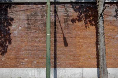 photograph “V.2022” par David Farreny — www.farreny.net — Italie, Italia, Italy, Vénétie, Veneto, Venise, Venice, Venezia, Venexia, Lido, mur, wall, brique, brick, arbre, tree, feuillage, foliage, ombre, shadow, poteau, post, pole, métal, metal, lampadaire, lamp, câble, cable, fil, wire, pierre, stone, tronc, trunk