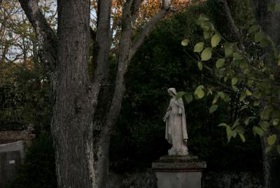 photograph “XI.2022 — Wet early morning” par David Farreny — www.farreny.net — France, Occitanie, Haute-Garonne, jardin, garden, arbre, tree, feuillage, foliage, feuilles, leaves, statue, Vierge, Virgin, vieille, old, usée, worn out, pierre, stone, socle, base, sombre, dark, ombre, darkness, humide, damp, wet, humidité, dampness, amputation, main, amputée, amputated, hand, brique, brick, sinistre, sinister
